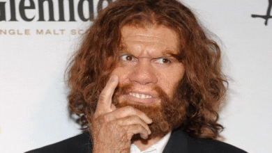 Geico Caveman