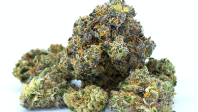 Rainbow Runtz Strain