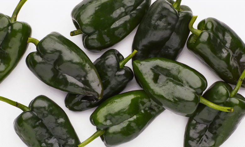 Poblano Pepper