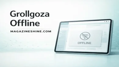 Grollgoza Offline Explained in Simple Expert Terms Grollgoza Offline
