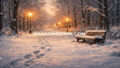 Winter Wonderland Lyrics and the Timeless Magic of a Classic Winter Song Winter Wonderland Lyrics