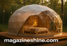 The Glamping Economy: How Luxury Outdoor Stays Became a Global Powerhouse Glamping Economy