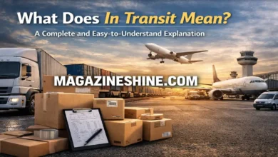 What Does In Transit Mean? A Complete and Easy-to-Understand Explanation What Does In Transit Mean