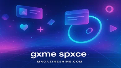 The Complete Expert Guide to Understanding gxme spxce gxme spxce