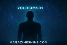 yolosims01