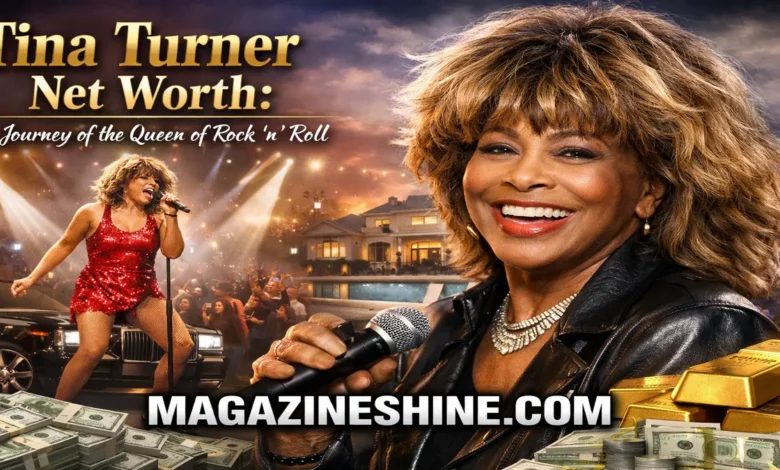 Tina Turner Net Worth: The Life And Fortune Of A Music Icon